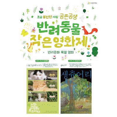 반려동물 작은영화재