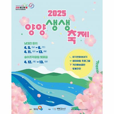 2025 양양 생생축제