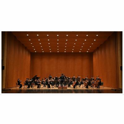 파보리챔버오케스트라